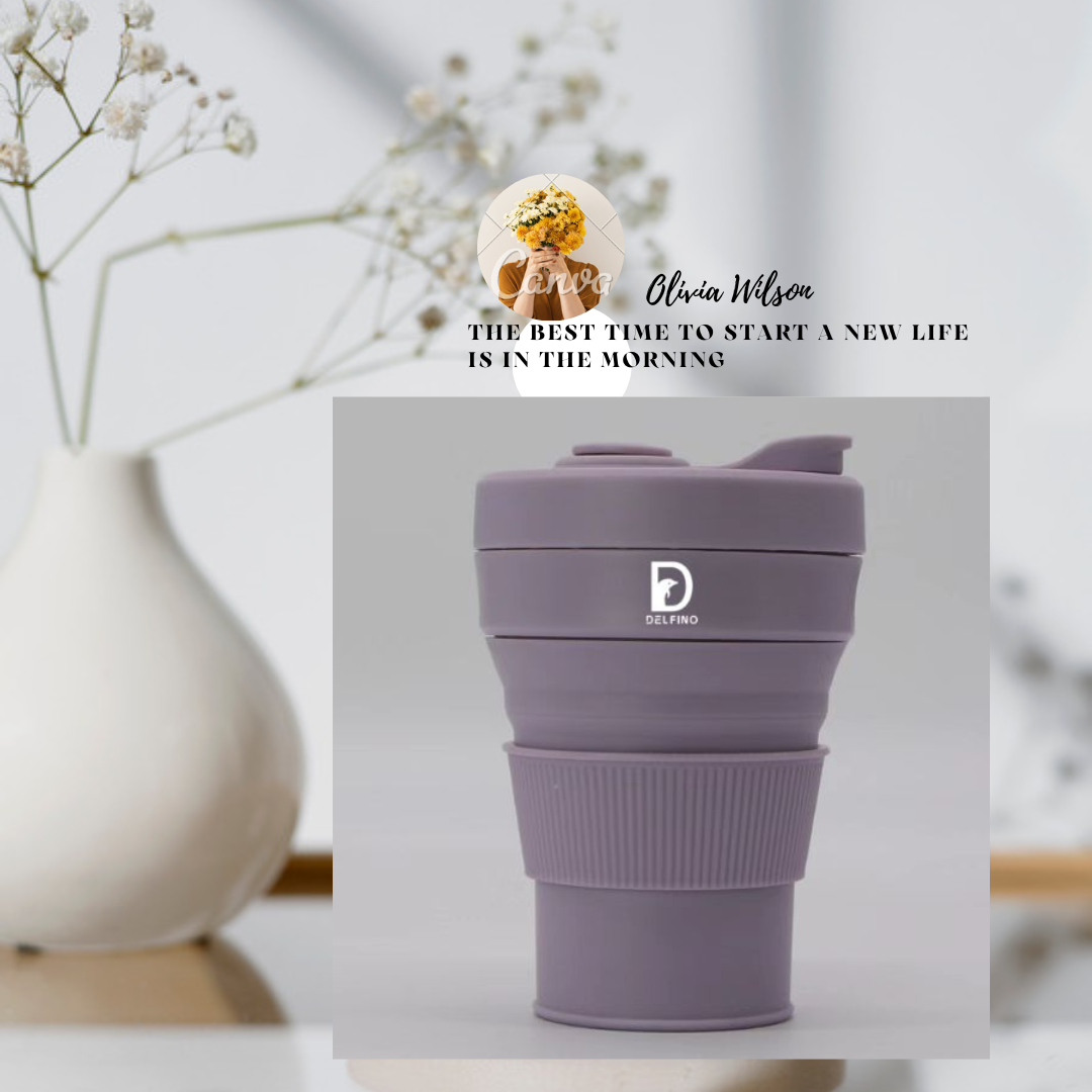 Delfino Official Store – Delfino